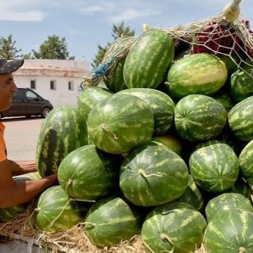 Alimentation: les réseaux sociaux font chuter le prix de la pastèque