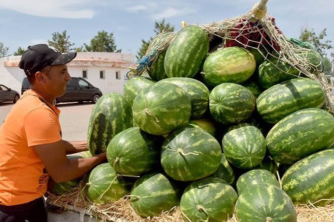 Alimentation: les réseaux sociaux font chuter le prix de la pastèque